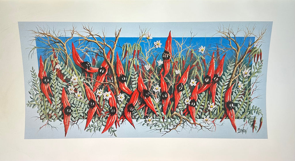 Sturt desert Pea print