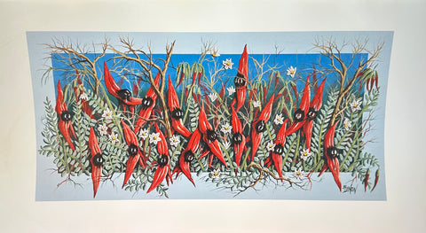 Sturt desert Pea print