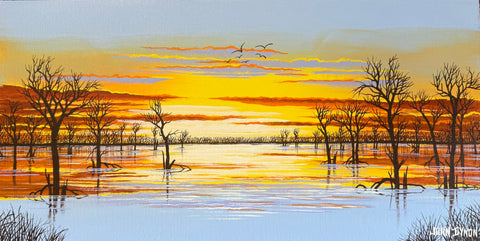 Menindee Lake Lookout