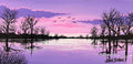 Pink Menindee lake
