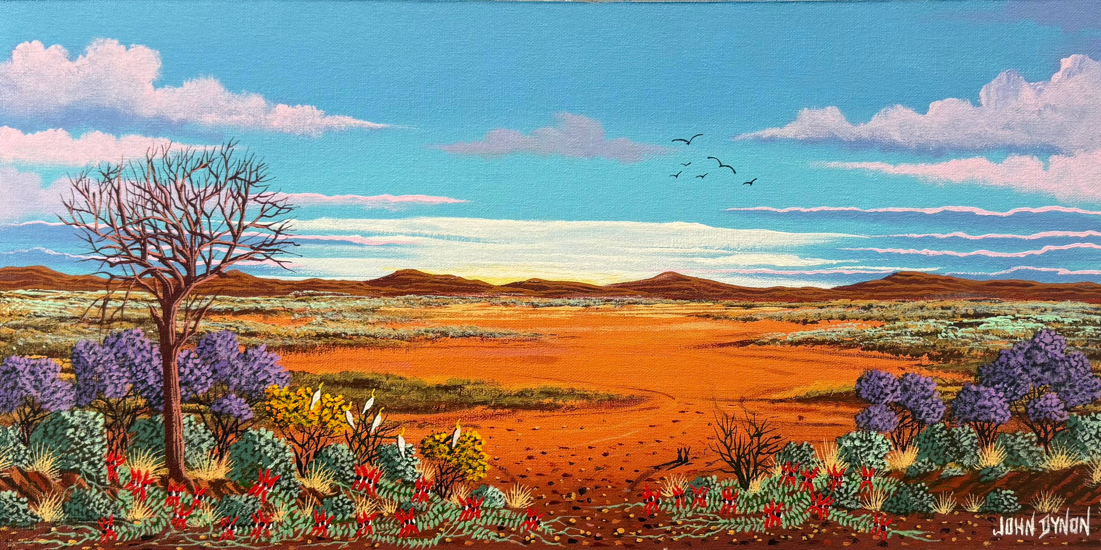 Garden in the outback